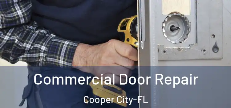 Commercial Door Repair Cooper City-FL
