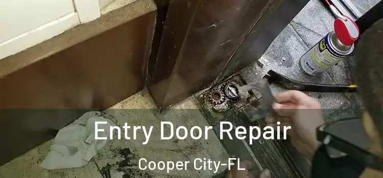  Entry Door Repair Cooper City-FL