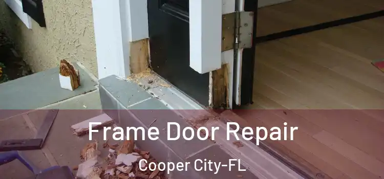  Frame Door Repair Cooper City-FL