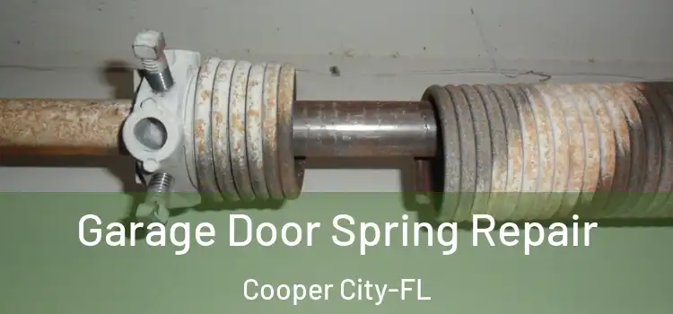  Garage Door Spring Repair Cooper City-FL