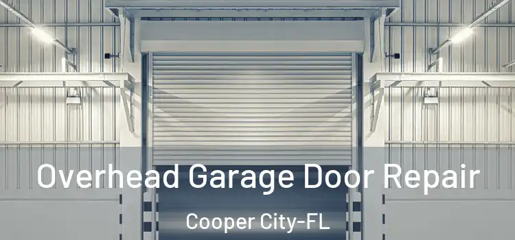  Overhead Garage Door Repair Cooper City-FL