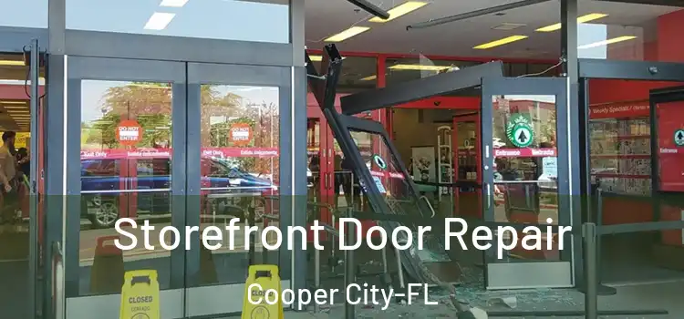  Storefront Door Repair Cooper City-FL